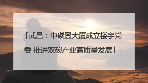 武昌：中碳登大厦成立楼宇党委 推进双碳产业高质量发展