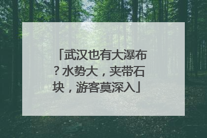 武汉也有大瀑布？水势大，夹带石块，游客莫深入