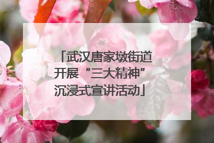 武汉唐家墩街道开展“三大精神”沉浸式宣讲活动
