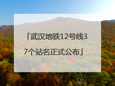 武汉地铁12号线37个站名正式公布