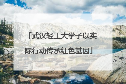 武汉轻工大学子以实际行动传承红色基因