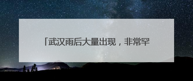 武汉雨后大量出现，非常罕见！不是蘑菇，不要随便吃