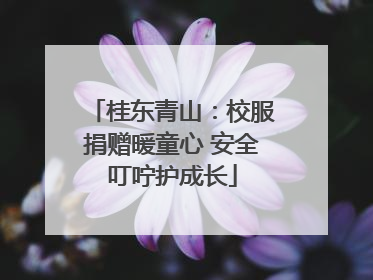 桂东青山：校服捐赠暖童心 安全叮咛护成长