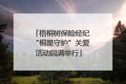 梧桐树保险经纪“桐星守护”关爱活动圆满举行