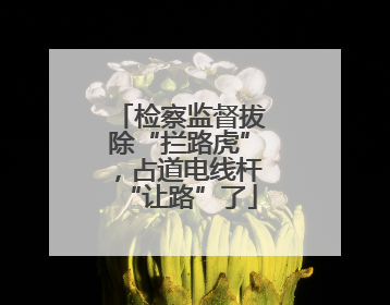 检察监督拔除“拦路虎”，占道电线杆“让路”了