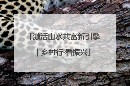 激活山水共富新引擎｜乡村行·看振兴
