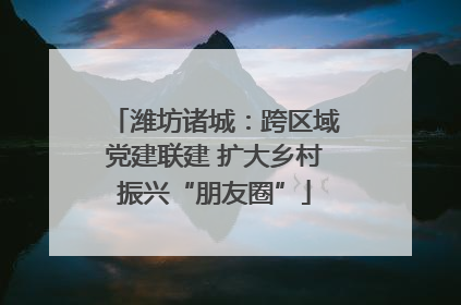 潍坊诸城：跨区域党建联建 扩大乡村振兴“朋友圈”