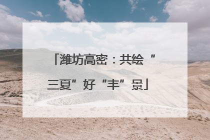潍坊高密：共绘“三夏”好“丰”景