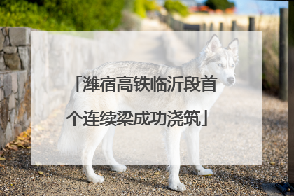潍宿高铁临沂段首个连续梁成功浇筑
