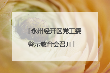 永州经开区党工委警示教育会召开