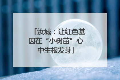 汝城：让红色基因在“小树苗”心中生根发芽