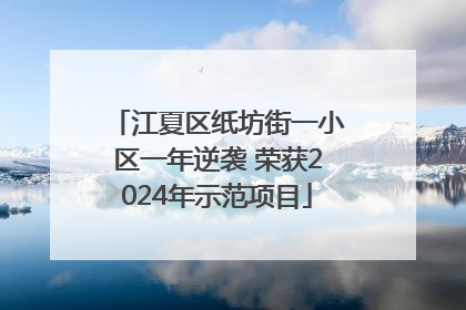 江夏区纸坊街一小区一年逆袭 荣获2024年示范项目