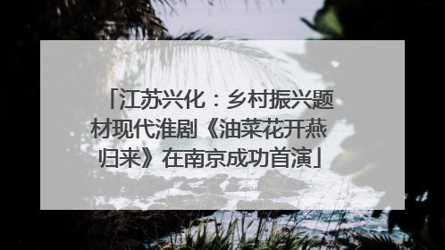 江苏兴化：乡村振兴题材现代淮剧《油菜花开燕归来》在南京成功首演