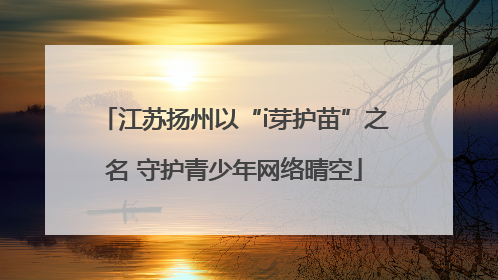 江苏扬州以“i芽护苗”之名 守护青少年网络晴空