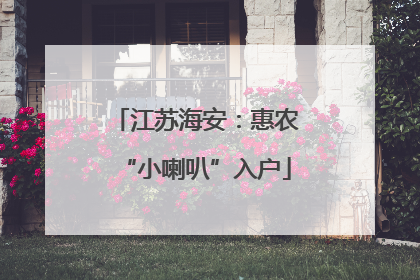 江苏海安：惠农“小喇叭”入户
