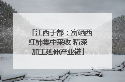 江西于都：富硒西红柿集中采收 精深加工延伸产业链