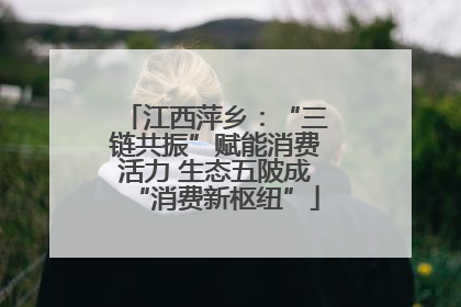 江西萍乡：“三链共振”赋能消费活力 生态五陂成“消费新枢纽”