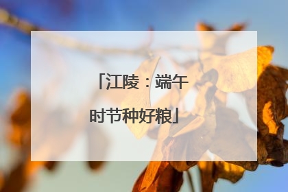 江陵：端午时节种好粮