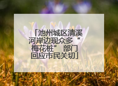 池州城区清溪河岸边现众多“梅花桩” 部门回应市民关切