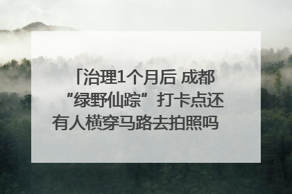 治理1个月后 成都“绿野仙踪”打卡点还有人横穿马路去拍照吗？｜民情瞭望