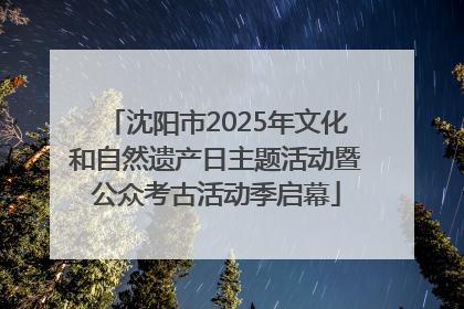 沈阳市2025年文化和自然遗产日主题活动暨公众考古活动季启幕