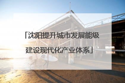 沈阳提升城市发展能级 建设现代化产业体系
