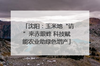 沈阳：玉米地“请”来赤眼蜂 科技赋能农业助绿色增产