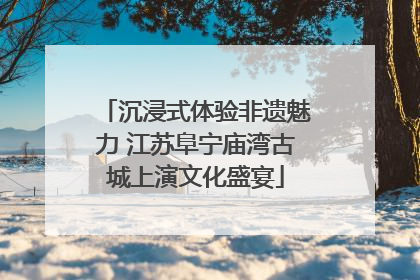 沉浸式体验非遗魅力 江苏阜宁庙湾古城上演文化盛宴