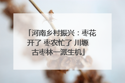 河南乡村振兴：枣花开了 枣农忙了 川塬古枣林一派生机