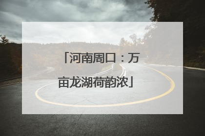 河南周口：万亩龙湖荷韵浓
