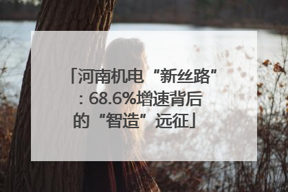 河南机电“新丝路”：68.6%增速背后的“智造”远征
