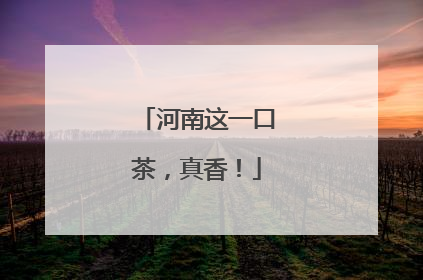 河南这一口茶，真香！