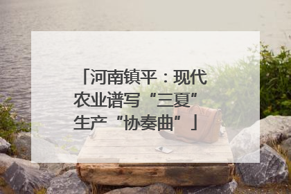 河南镇平：现代农业谱写“三夏”生产“协奏曲”