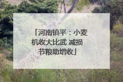 河南镇平：小麦机收大比武 减损节粮助增收