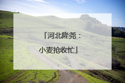 河北隆尧：小麦抢收忙