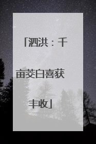 泗洪：千亩茭白喜获丰收