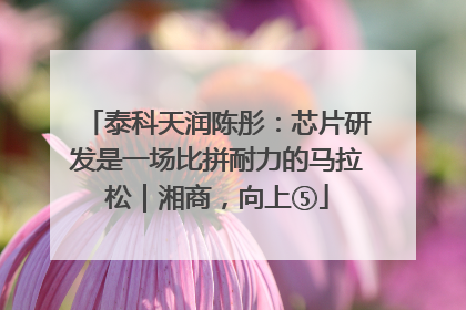 泰科天润陈彤：芯片研发是一场比拼耐力的马拉松｜湘商，向上⑤