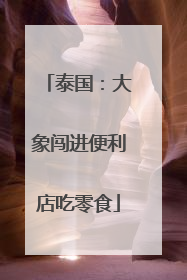 泰国：大象闯进便利店吃零食