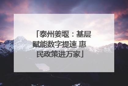 泰州姜堰：基层赋能数字提速 惠民政策进万家
