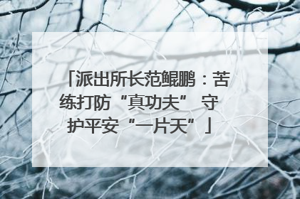 派出所长范鲲鹏：苦练打防“真功夫” 守护平安“一片天”