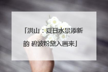 洪山：夏日水景添新韵 碧波粉黛入画来
