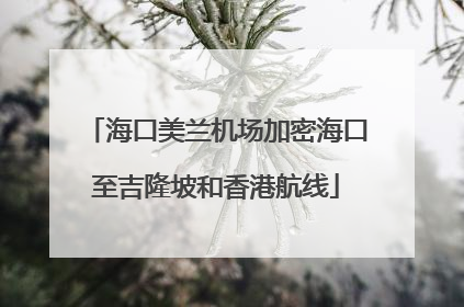 海口美兰机场加密海口至吉隆坡和香港航线