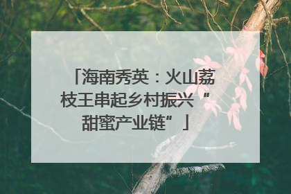 海南秀英：火山荔枝王串起乡村振兴“甜蜜产业链”