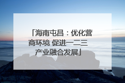 海南屯昌：优化营商环境 促进一二三产业融合发展