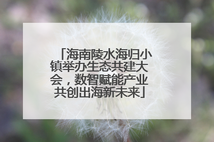 海南陵水海归小镇举办生态共建大会，数智赋能产业共创出海新未来