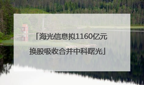 海光信息拟1160亿元换股吸收合并中科曙光