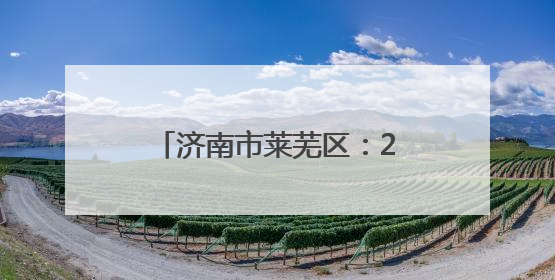 济南市莱芜区：2025年首届“泳协杯”游泳比赛开赛