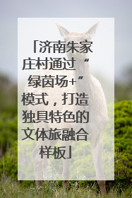 济南朱家庄村通过“绿茵场+”模式，打造独具特色的文体旅融合样板