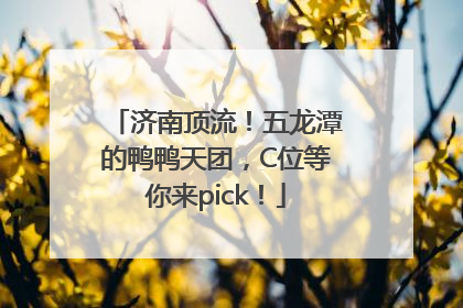 济南顶流！五龙潭的鸭鸭天团，C位等你来pick！
