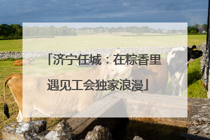 济宁任城：在粽香里遇见工会独家浪漫